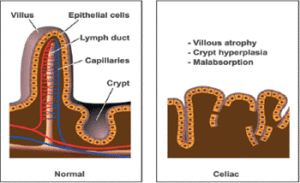 fig01